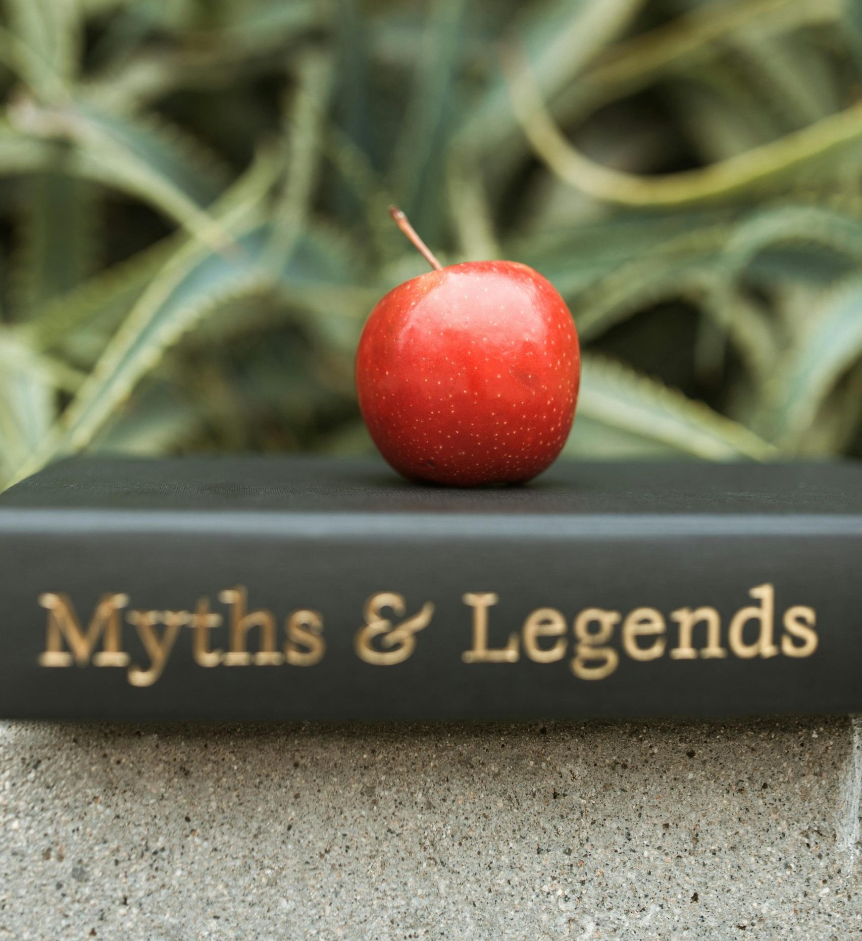 Common Pawn Shop Myths Debunked – Ideal Jewelry and Loan